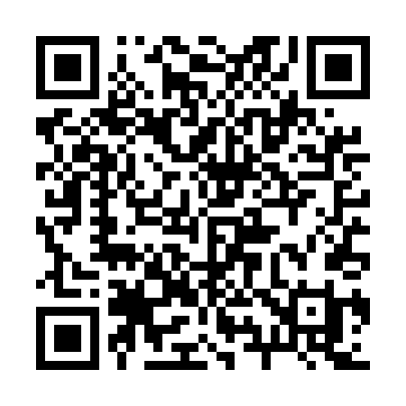 QR code for 294UDI