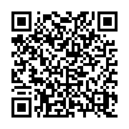 QR code for 294USX