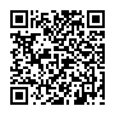 QR code for 294X