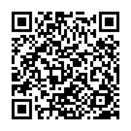 QR code for 295AJJ