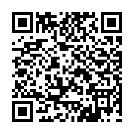 QR code for 295AU