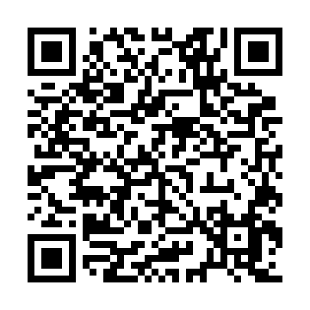 QR code for 295BN