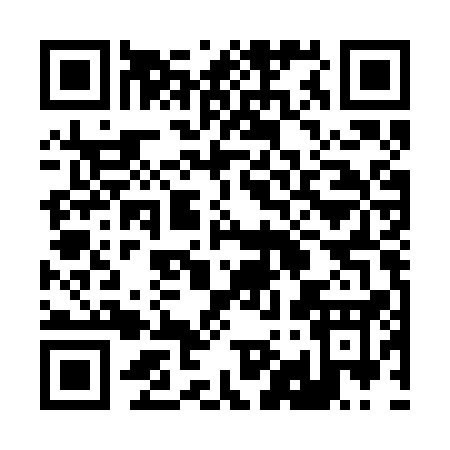 QR code for 295BQ