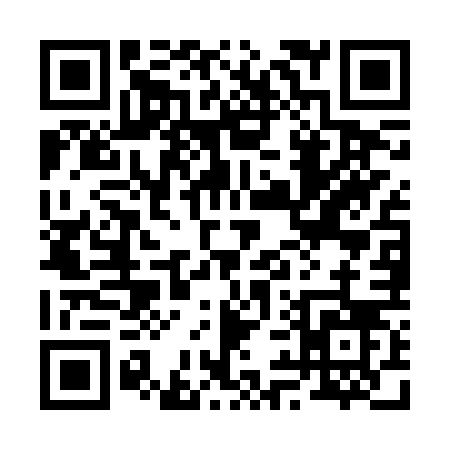 QR code for 295BV