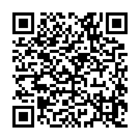 QR code for 295BX
