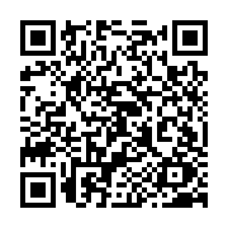 QR code for 295C