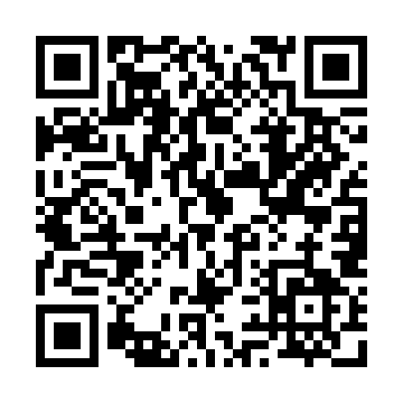 QR code for 295CO