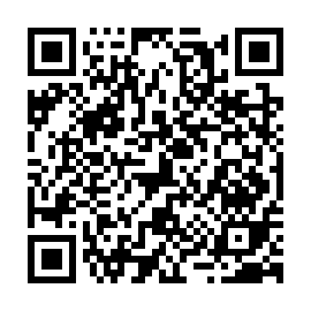 QR code for 295CQ