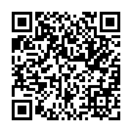 QR code for 295CR