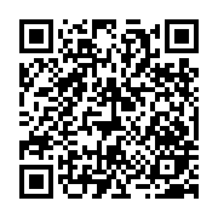 QR code for 295DH