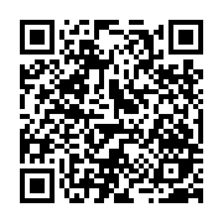 QR code for 295DM