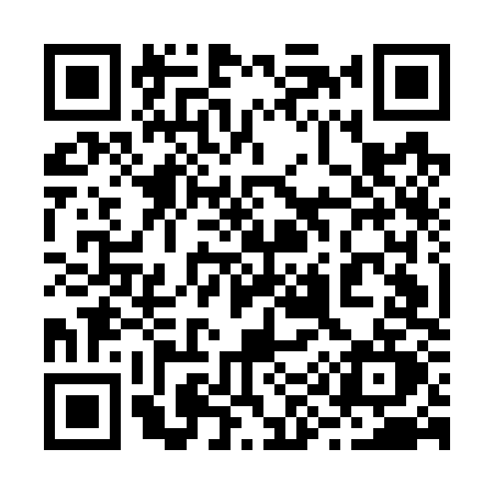QR code for 295G