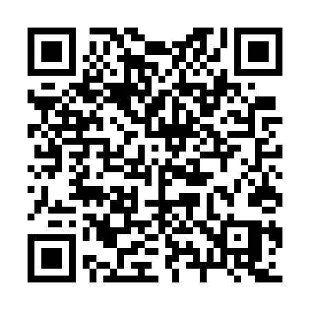 QR code for 295GTQ