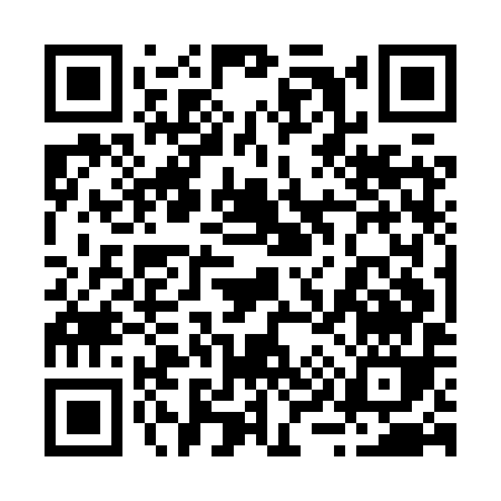 QR code for 295HY