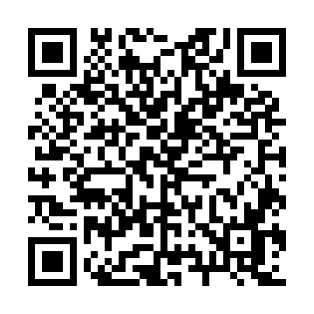 QR code for 295I