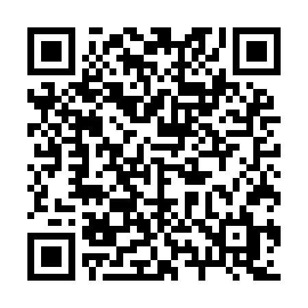 QR code for 295IFL