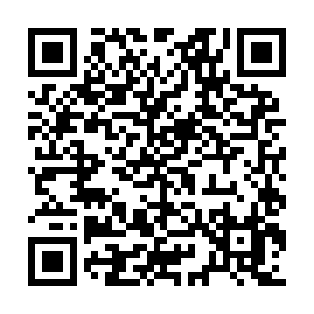 QR code for 295IH