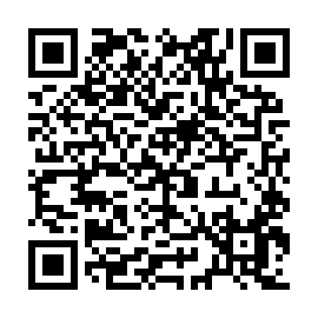 QR code for 295IY