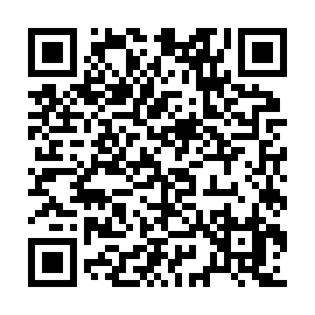 QR code for 295JZ