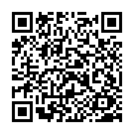 QR code for 295K