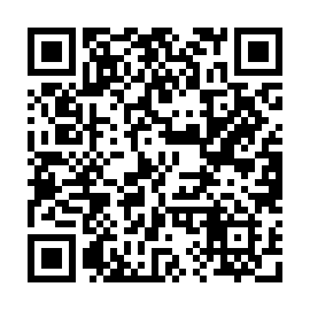 QR code for 295KHI