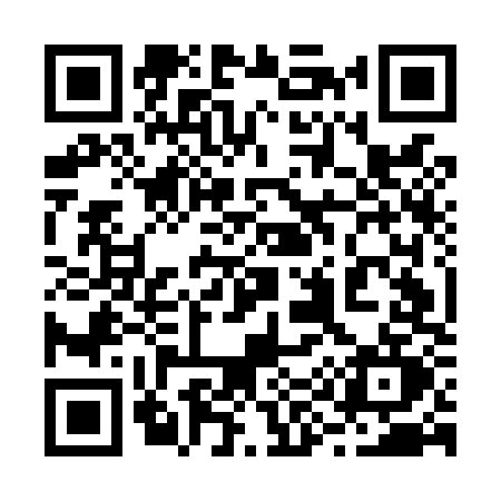 QR code for 295L