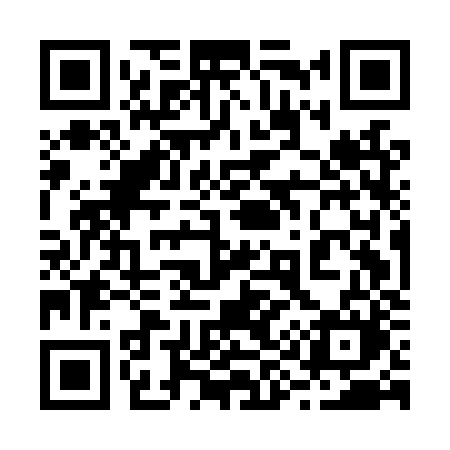 QR code for 295LZM