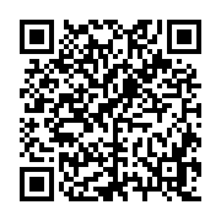 QR code for 295M