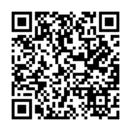QR code for 295MBO