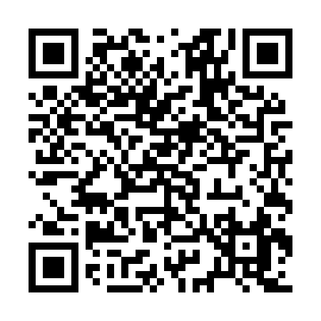QR code for 295MS