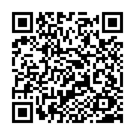 QR code for 295O