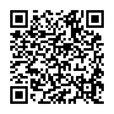 QR code for 295OL