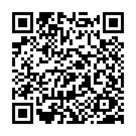 QR code for 295P