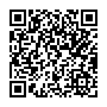 QR code for 295PQ