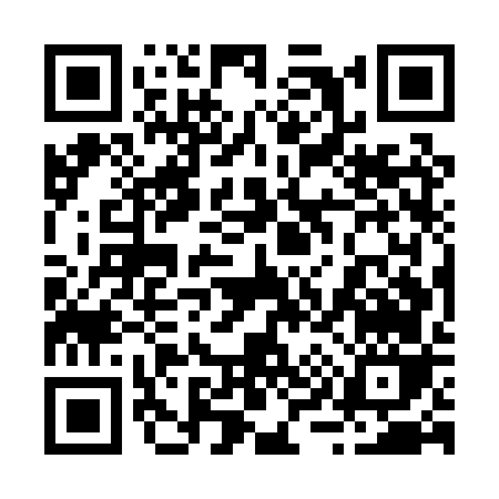 QR code for 295PV