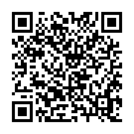 QR code for 295QKN