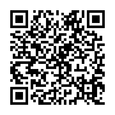 QR code for 295QQ