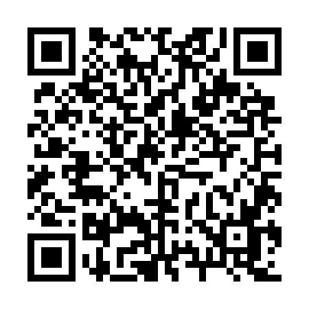 QR code for 295S