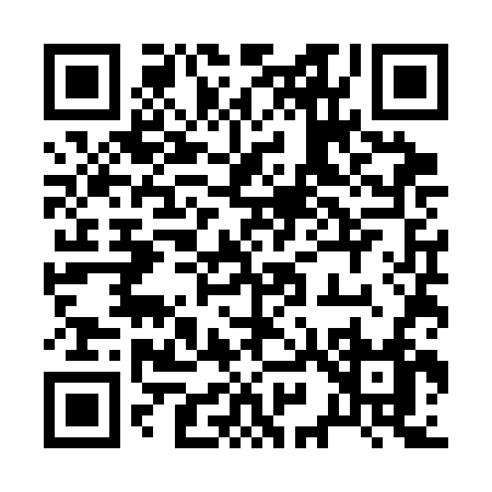 QR code for 295SF