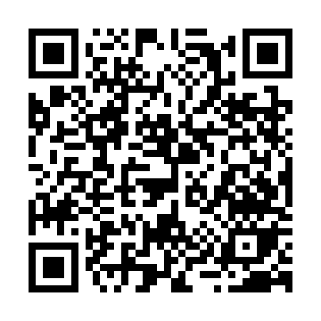 QR code for 295SO