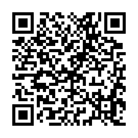 QR code for 295SW