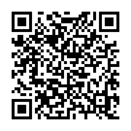QR code for 295THO