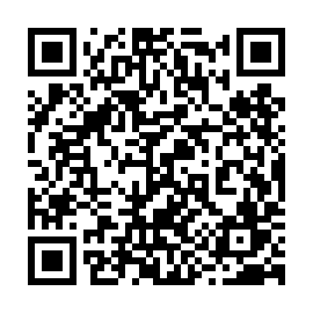 QR code for 295TIV