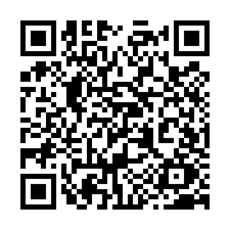 QR code for 295U