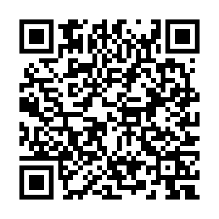 QR code for 295V