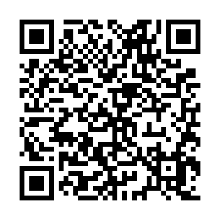 QR code for 295VF