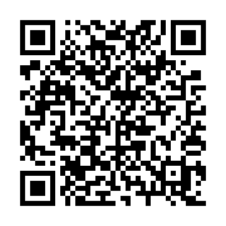 QR code for 295VQI