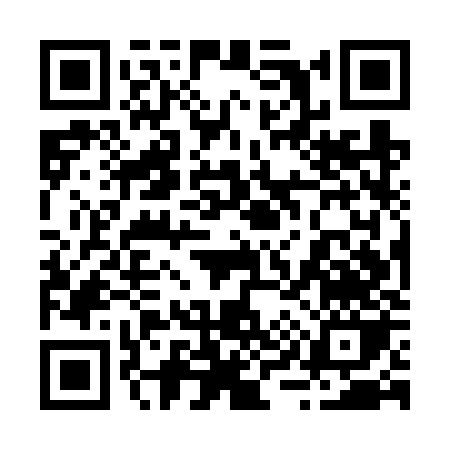 QR code for 295VZ