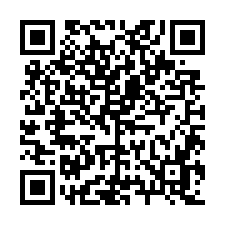 QR code for 295W