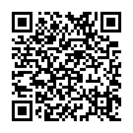 QR code for 295WP